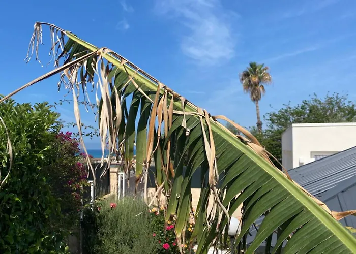 Villa Alicudi - Luxury Seaside Con Piscina Villa Cava dʼAliga